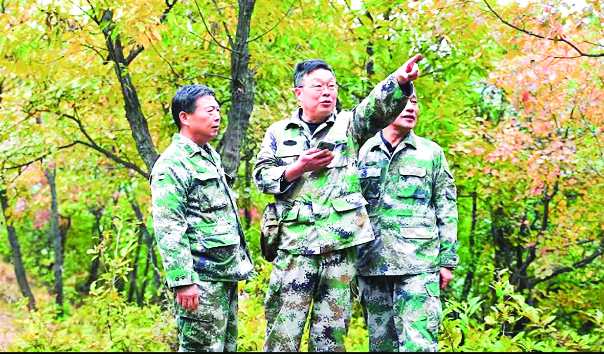 安槐岳：守好这座山 护好这片林
